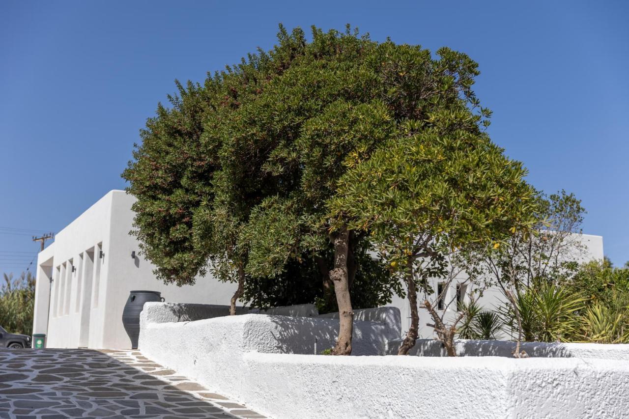 Naxos Green Village Hotel Naxos City エクステリア 写真